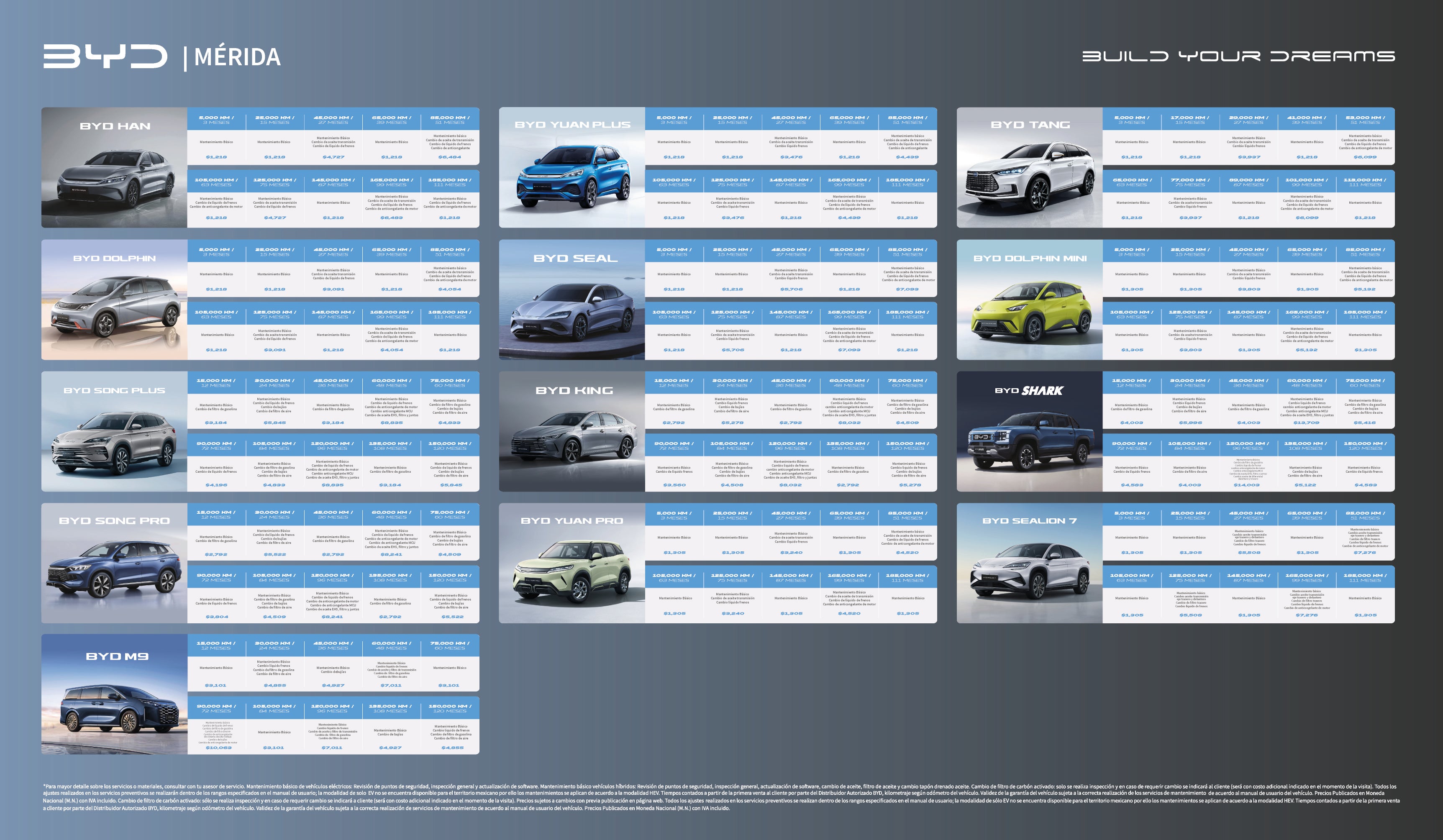 BYD - Tabla de precios